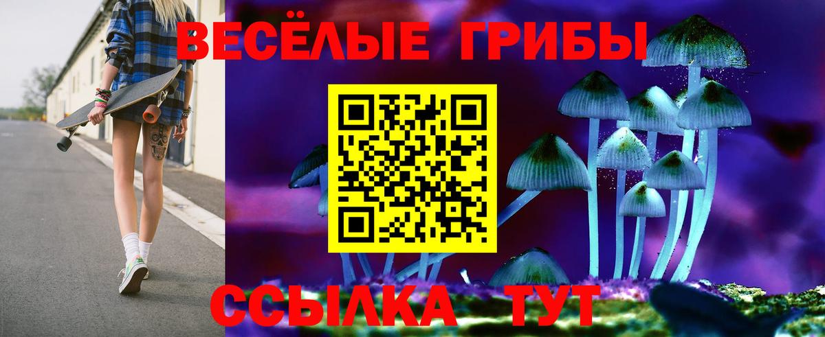 Галлюциногенные грибы Cubensis  Вход с VPN  Псилоцибиновые грибы MAGIC MUSHROOMS  Артём 